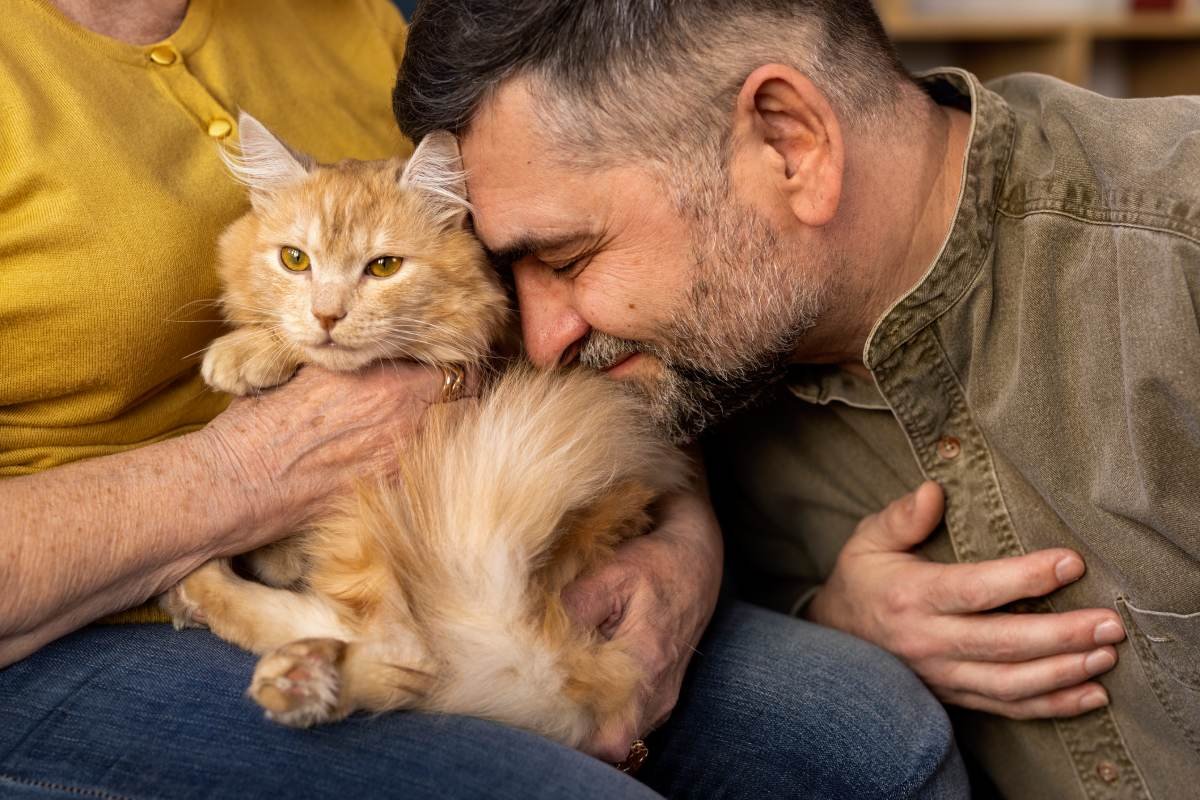 Older adults spending time with their pet cat