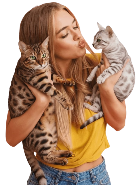 bengal-cat-expert-doctor-1